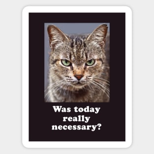 Funny Sarcastic Grumpy Kitty Cat for Men and Women Sticker